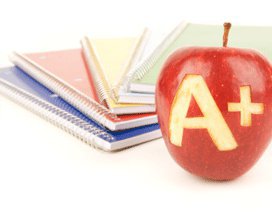 CheckForPlagiarism.net - Proofreading Services