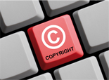 Plagiarism Law