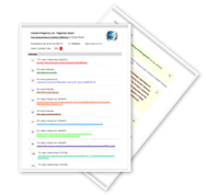 Sample Plagiarism Report